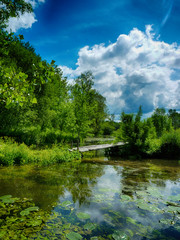 Fototapeta premium rivière