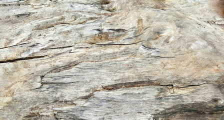 wood texture old textured abstract nature