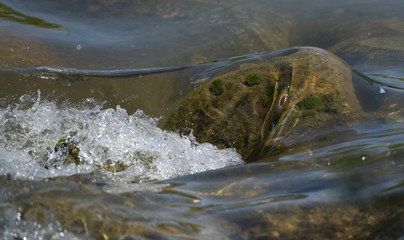 Schaumkrone in einem Bach