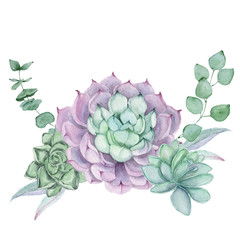 Watercolor succulent composition. Watercolor graphic for fabric, postcard, wedding or greeting card, book, poster, tee-shirt, banners, emblems, logo. Illustration, isolated objects.