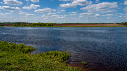 pond on a clear summer day