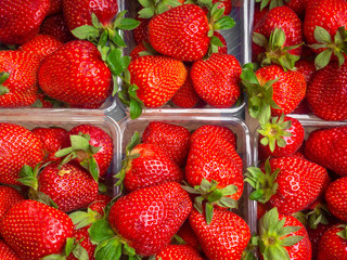 Fresh strawberries in a plastic boxes. Background. Top view.