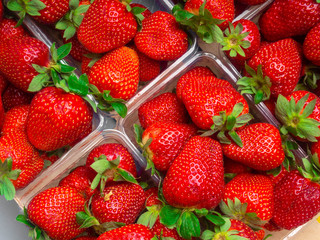 Fresh strawberries in a plastic boxes. Background. Top view.