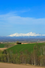 Fototapeta premium 日本 北海道 山と青空背景