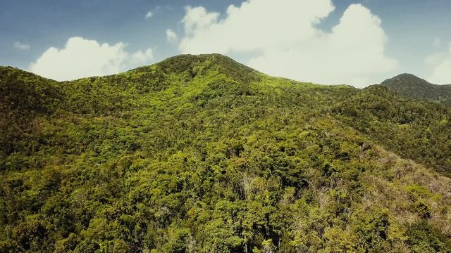 Tropical forest on island. Fantastic drone view of green jungle on mountain ridge of amazing tropical island. Exotic. Paradise panorama of rainforest, Guadeloupe, Caribbean.