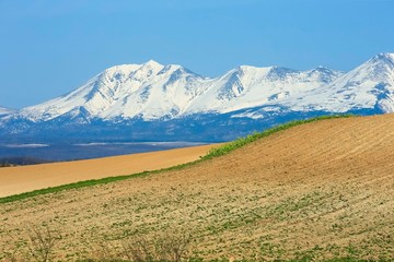 Fototapeta premium 日本 北海道 山と青空背景