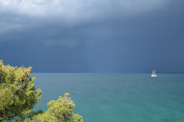 The stormy sky and the sun illuminate the sailing yacht and pine branches in the foreground. Amazing natural colors. Contrasting natural lighting. Adriatic Sea.