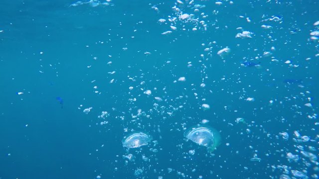 Wasserblasen steigen unter wasser an die Wasseroberfl&auml;che