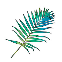 isolated on white background palm leaf with watercolor