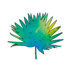 isolated on white background palm leaf with watercolor
