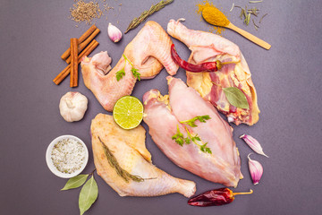 Fresh raw pieces of organic (bio) poultry chicken.