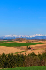 Fototapeta premium 日本の北海道の大地 青空と山