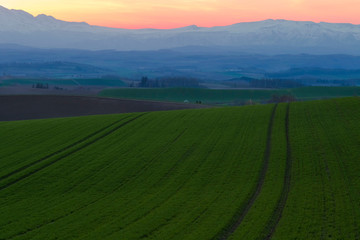 日本　北海道　朝の風景