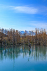 日本　北海道の青い池