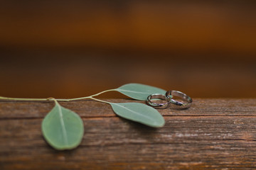 Modern wedding jewelry. Closeup of two wedding rings on natural background with flowers and leaves.