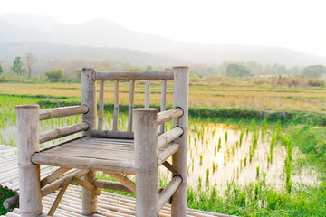 The Bamboo chair in the rice field 