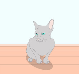 vector illustration of a cat that sits in the room