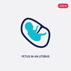 two color fetus in an uterus vector icon from human body parts concept. isolated blue fetus in an uterus vector sign symbol can be use for web, mobile and logo. eps 10