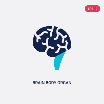 two color brain body organ vector icon from human body parts concept. isolated blue brain body organ vector sign symbol can be use for web, mobile and logo. eps 10