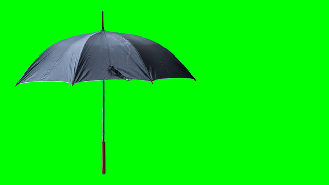 A black umbrella that is open, cutting the background into a green background