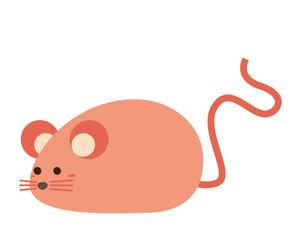 ねずみ　ねずみ年　2020年　年賀状　イラスト