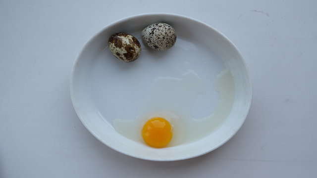 quail eggs, yolk, tomato,