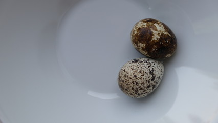quail eggs, yolk, tomato,