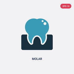 two color molar vector icon from medical concept. isolated blue molar vector sign symbol can be use for web, mobile and logo. eps 10