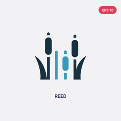 two color reed vector icon from nature concept. isolated blue reed vector sign symbol can be use for web, mobile and logo. eps 10