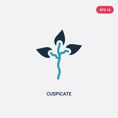 two color cuspicate vector icon from nature concept. isolated blue cuspicate vector sign symbol can be use for web, mobile and logo. eps 10
