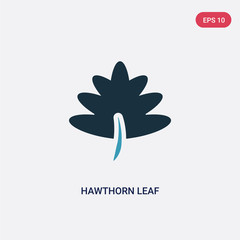 two color hawthorn leaf vector icon from nature concept. isolated blue hawthorn leaf vector sign symbol can be use for web, mobile and logo. eps 10