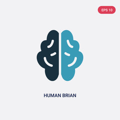 two color human brian vector icon from nature concept. isolated blue human brian vector sign symbol can be use for web, mobile and logo. eps 10