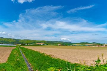 Fototapeta na wymiar Panoramic rural landscape with mountains. Vast blue sky and white clouds over farmland field in a beautiful sunny day in springtime.