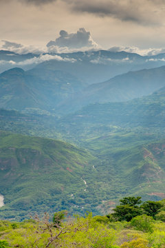 Guane Bilder Durchsuchen 333 Archivfotos, und Videos
