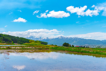 Obraz premium Vast blue sky and white clouds over paddy farmland field in a beautiful sunny day in springtime. Panoramic rural landscape with mountains.