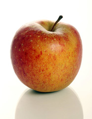 Rot-gelb gesprenkelter Apfel