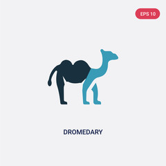 two color dromedary vector icon from religion concept. isolated blue dromedary vector sign symbol can be use for web, mobile and logo. eps 10