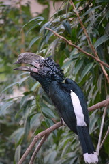 bird on tree