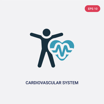 two color cardiovascular system vector icon from sauna concept. isolated blue cardiovascular system vector sign symbol can be use for web, mobile and logo. eps 10