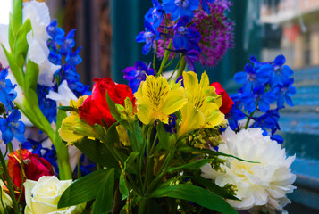 a collection of colorful flowers blooming in the summer