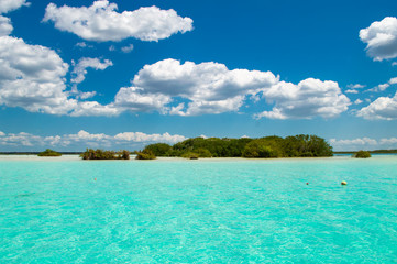 Bacalar