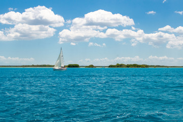 Bacalar