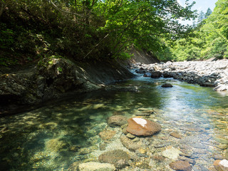 渓流 川 釣り 沢登り