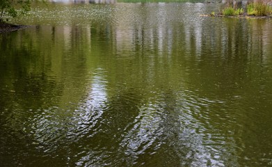 Fototapeta na wymiar Yellow green river lake pond ripples reflection pattern texture
