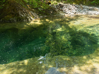 渓流 川 釣り 沢登り