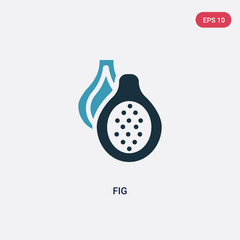 two color fig vector icon from summer concept. isolated blue fig vector sign symbol can be use for web, mobile and logo. eps 10
