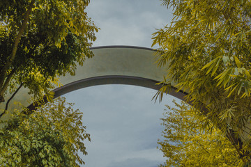 Arch in a bamboo garden