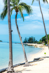 Thailand has a great number of magnificent beaches, both on the Eastern Gulf of Thailand and on the Andaman Sea on the Western part of the country.