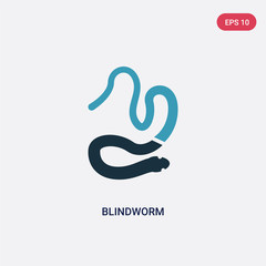 two color blindworm vector icon from animals concept. isolated blue blindworm vector sign symbol can be use for web, mobile and logo. eps 10