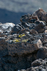  Mountains on the Canary Islands. Teide Volcano